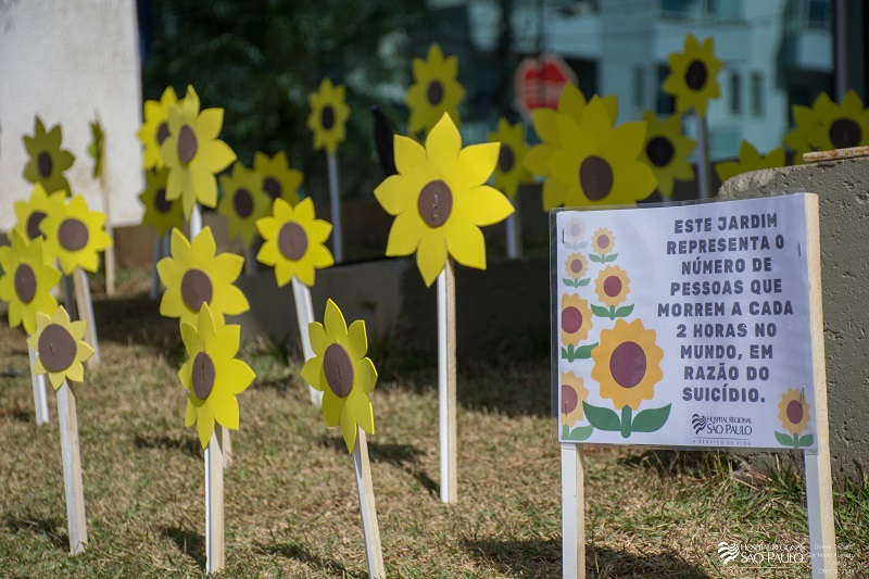 Setembro Amarelo Hospital Regional Sao Paulo Cria Jardim De Girassois Para Lembrar Vitimas De Suicidio